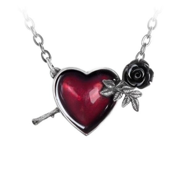 Wounded by Love Necklace – Alchemy Gothic Heart ✦ Sword ✦ Red Crystal ✦ Pewter - Picture 1 of 2
